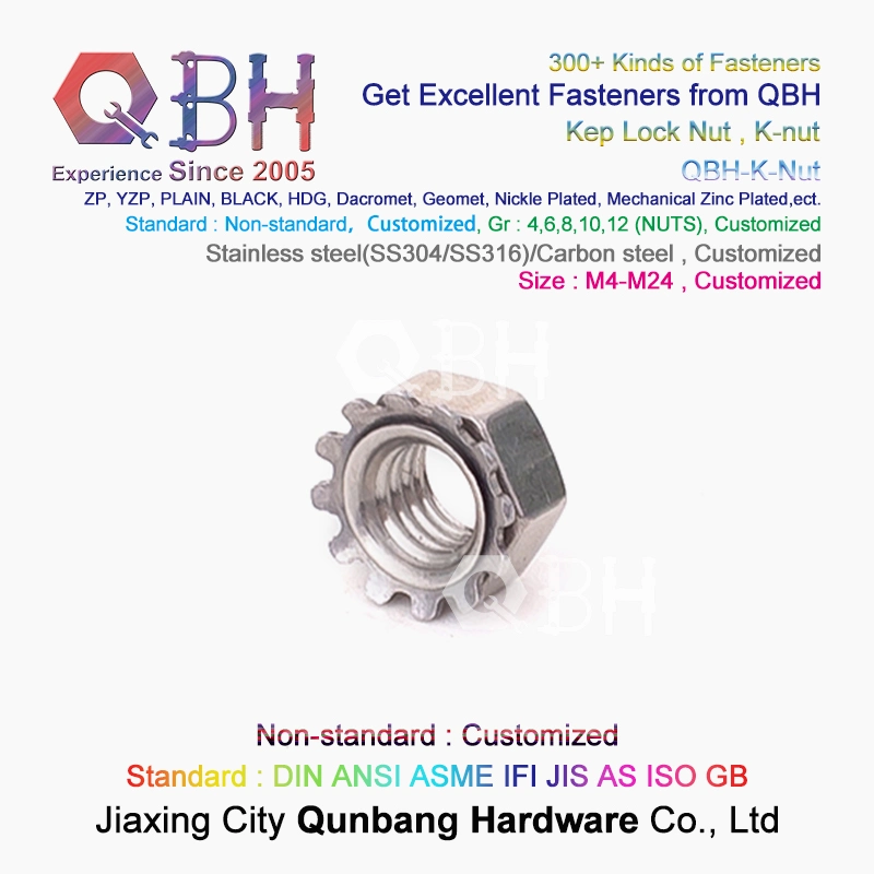 Qbh SS304 SS316 SUS304 SUS316 Stainless Steel K-Nut Star Nut